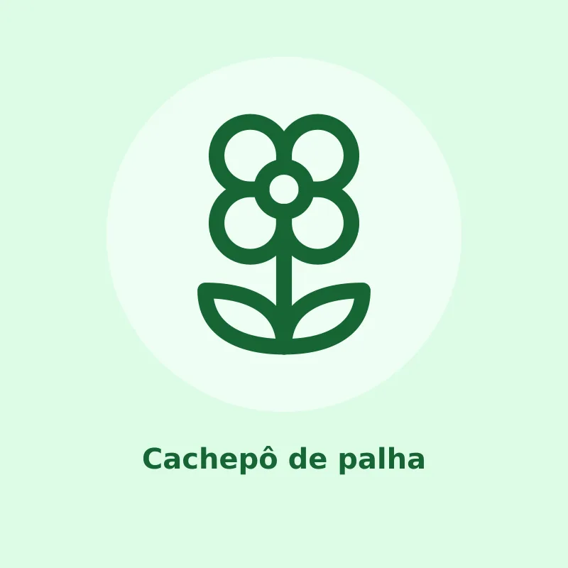 Cachepô de palha